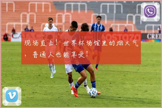 现场直击！世界杯场馆里的烟火气，普通人也能享受！