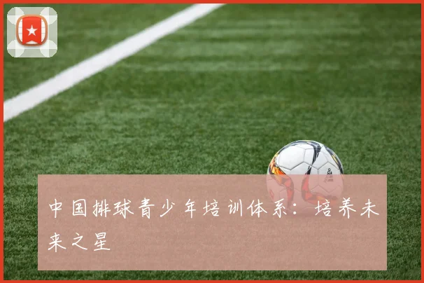 中国排球青少年培训体系：培养未来之星