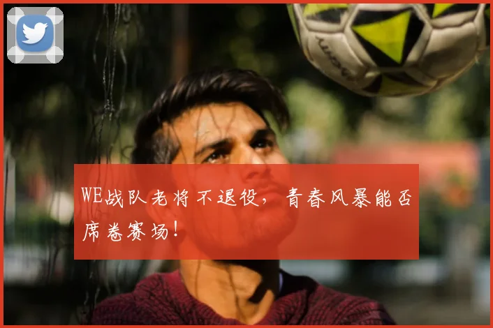 WE战队老将不退役，青春风暴能否席卷赛场！