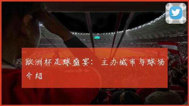 欧洲杯足球盛宴：主办城市与球场介绍