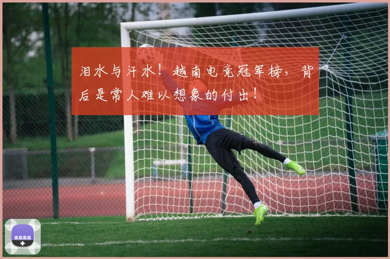 泪水与汗水！越南电竞冠军榜，背后是常人难以想象的付出！